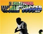 �䶯��������2010Ӣ�İ�