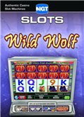IGT��Ϸ��Ұ��